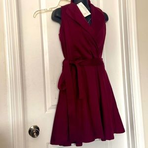 Vfish Merlot wrap waist tied mini v neck dress